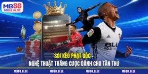 soi kèo phạt góc